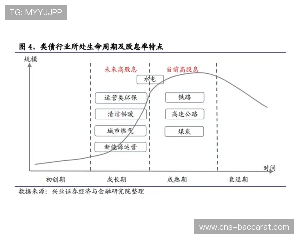 市场化运营机制成为区域性赛事可持续发展的关键支撑。